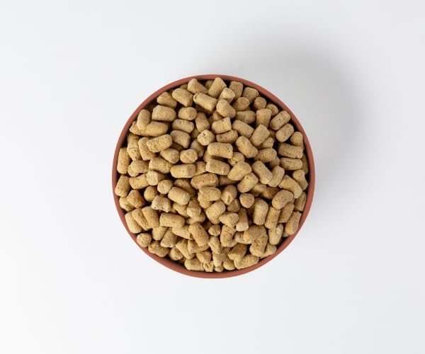 360 Pet Nutrition Freeze-Dried Raw Dog Food, High Protein, Balanced Meal, Chicken, Liver, Heart, Fruit, Veggies, Superfoods, No Fillers, 5 oz Food/Bites/Kibble Trial Size (Chicken) Made in USA