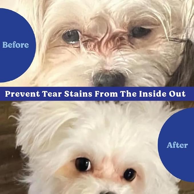 ANGELS' EYES Natural Tear Stain Prevention Soft Chews for Dogs | Beef Flavor| for All Breeds | No Wheat No Corn | Daily Supplement | Proprietary Formula | 90ct