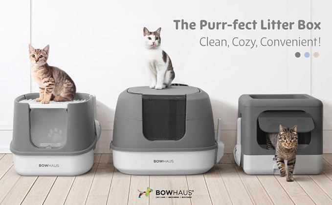 Foldable Cat Litter Box w/Lid, Scoop & Mat, Drawer Design Cat Toilet for Kitten, Two-Way Entry Kitty Litter Box, Odor Control & Easy to Clean, Dark Grey