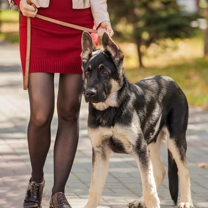 LWBMG Leather Dog Leash 6ft x 3/4 inch Heavy Duty Dog Training Leash, Strong Sturdy Genuine Leather Braided Pet Leashes, Soft and Comfortable Cowhide Pet Lead for Large, Medium and Small Dogs Tan