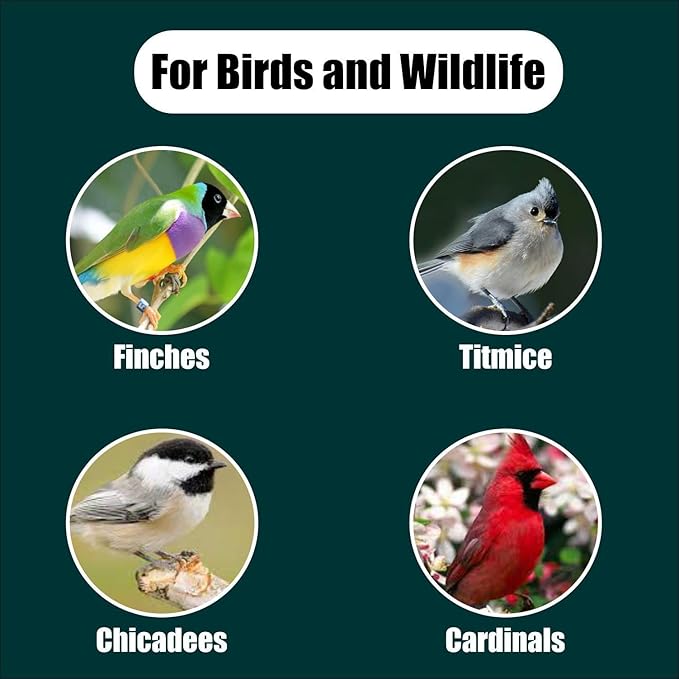 Wildlife Black Oil Sunflower Seeds for Birds and Wildlife, Non-GMO & USA Grown on Small Farms (12 lbs)