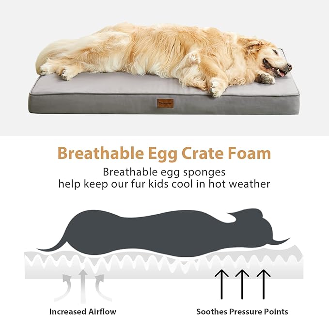 BFPETHOME Outdoor Dog Beds for Large Dogs, Waterproof Dog Bed for Medium, Large, Extra Large Dogs, Orthopedic Pet Bed with Removable Washable Cover, Egg Crate Foam Pet Bed Mat. (42 x 30 in, Grey)