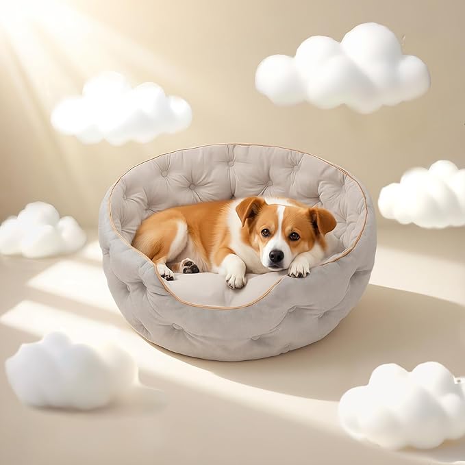 Cute Cat Beds Kitten Beds,Small Dog Beds, Washable Pet Beds for Puppy and Kitty, 20 Inch