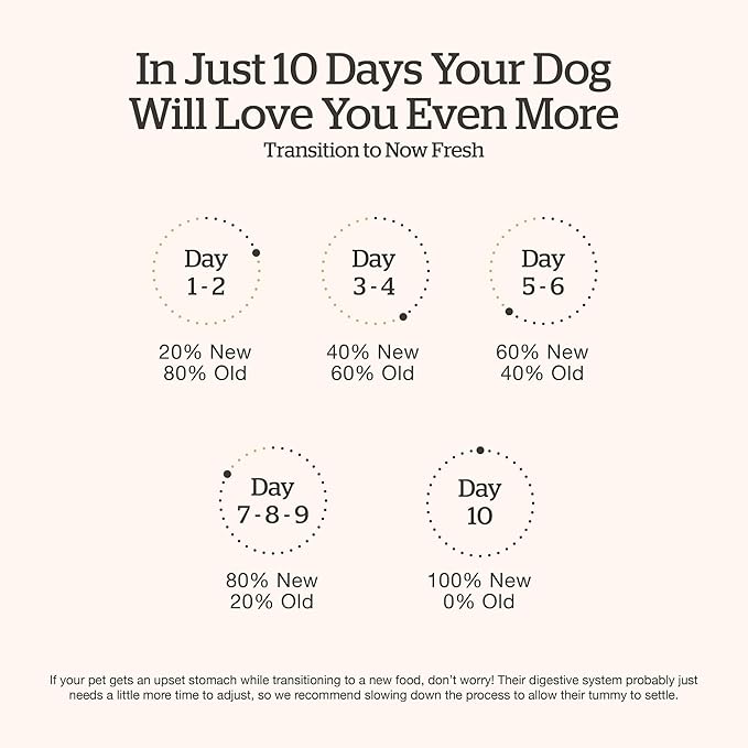 Now Fresh Good Gravy Premium Dry Dog Food with Chicken & Ancient Grains for Small Breeds, Healthy Kibble for Adults Coated in Bone Broth – Just Add Water to Moisten, Made with Real Meat, 3.5 lb Bag