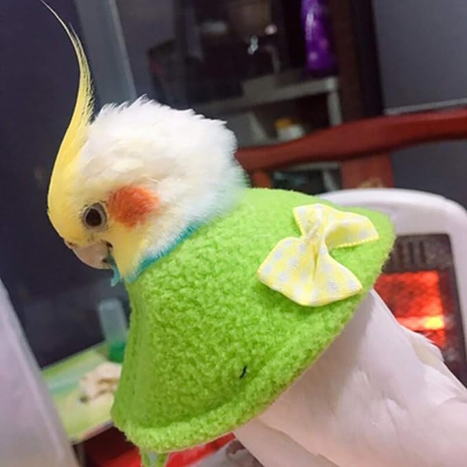 QBLEEV 4Pack Pet Parrot Anti-bite E-Collars, Anti-Grab Feather Plucking Wound Healing Safety Elizabethan Collar, Protective Recovery Cones for Budgerigar Lovebird Agapornis Fischer Cockatiel Cockatoo