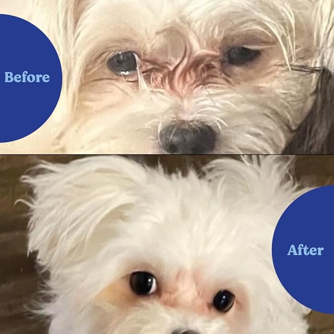 ANGELS' EYES Natural Tear Stain Prevention Soft Chews for Dogs | Chicken Flavor| For All Breeds | No Wheat No Corn | Daily Supplement | Proprietary Formula
