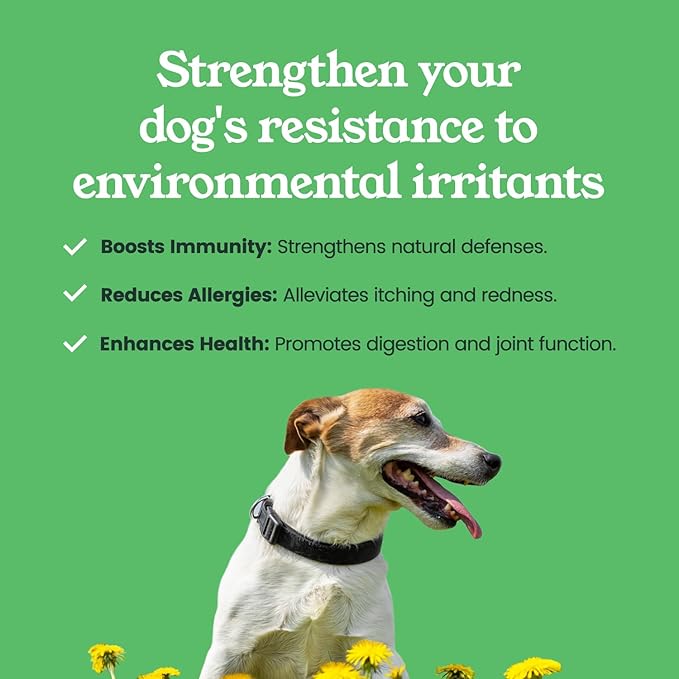 Allergy & Immune Chews for Dogs with Apple Cider Vinegar, Turmeric, Fennel Seed Meal, and Salmon Oil – Supports Digestive Health and Seasonal Allergy Relief – 90 Soft Chews