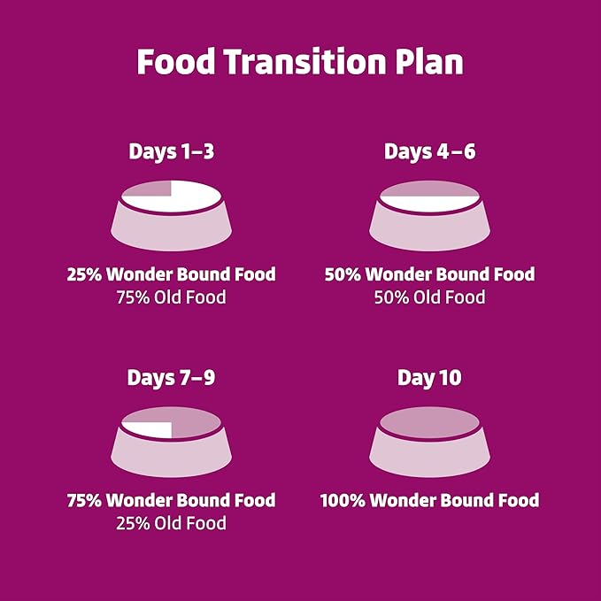 Amazon Brand - Wonder Bound Small Breed Wet Dog Food, Filet Mignon Flavor, Loaf in Gravy, 3.5 Ounce (Pack of 12)