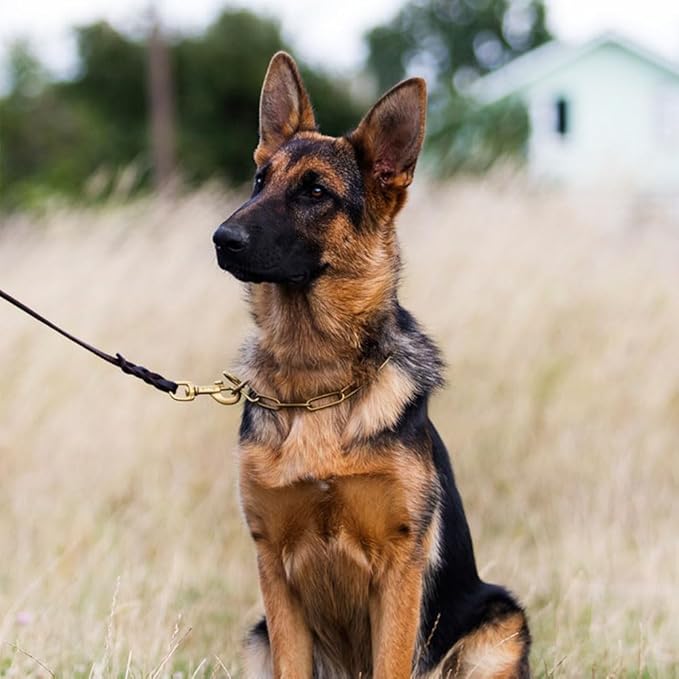 LWBMG Leather Dog Leash 8ftx1/2 inch, Heavy Duty Dog Leash, Strong and Sturdy Handmade Braided Pet Leashes, Soft and Comfortable Leather Leashes for Small Medium Large Dogs Training and Walking Brown