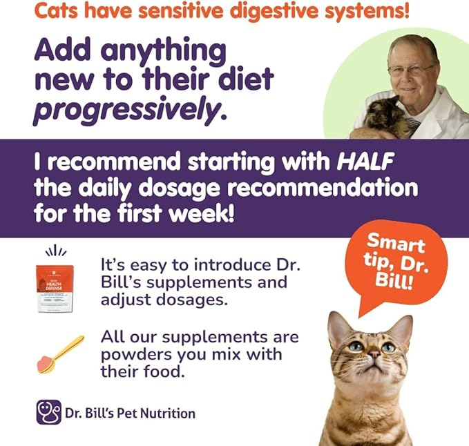 Dr. Bill’s Feline Complete Joint Care | Advanced Hip & Joint Supplement for Cats | Green Lipped Mussel Extract, Collagen Type II, Chondroitin, Hyaluronic Acid, Omega 3 and Colostrum | Powder, 85g