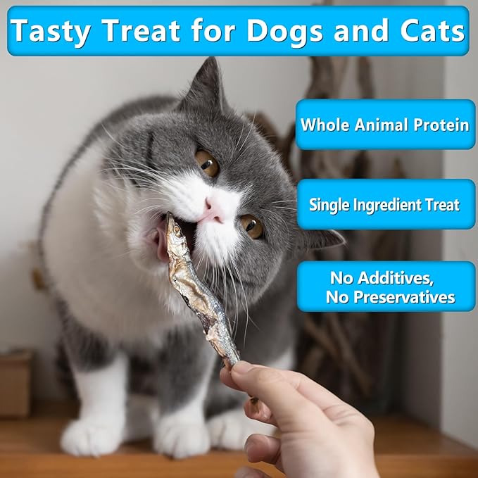 Minnows, 4.5oz Natural Air-Dried Minnows Dog and Cat Treats, Grain-Free, High-Protein, Single-Ingredient Fish Snacks for Training