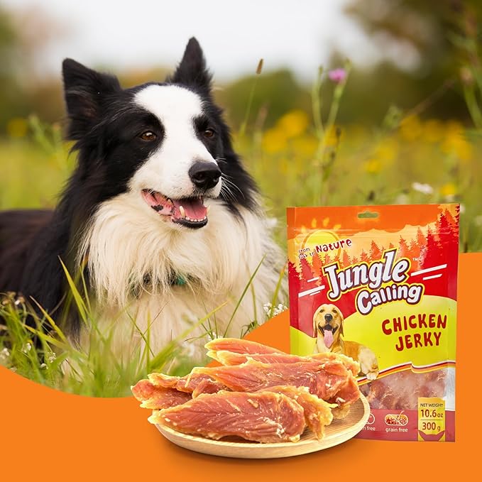 Jungle Calling Dog Treats Chicken Jerky Training Treats, Slow Roasted Snacks for Medium and Large Dogs Chewy Treats 10.6 Ounce (Chicken Jerky)