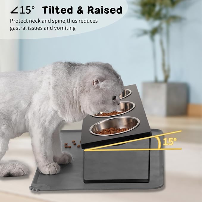 Upgraded Elevated Cat Bowls with Food Mat,15°Tilted Stand Anti Vomiting Raised Cat Dishes for Food and Water,3 Stainless Steel Bowls for Cats and Puppy(Black)