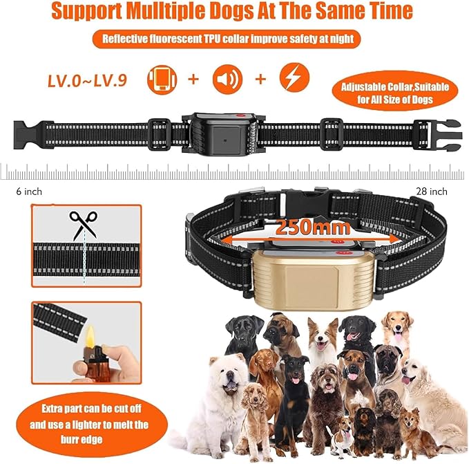 Wireless Dog Fence, Electric Dog Fence & Remote Training Collar, Vibration & Shock, IP65 Waterproof Collar for Large and Medium Dogs with 3 Training Modes, Dog Container Boundary System,for3dogs