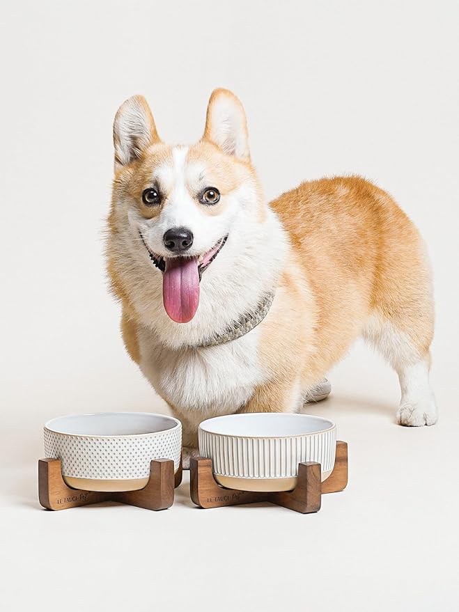 Ceramic Dog Bowls for Medium Small Dogs - 4 Cup Medium Dog Food and Water Bowls with Wood Stand, Cute Pet Dishes Set of 2, Lines+Dot
