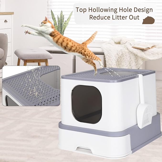 RIZZARI Large Enclosed Cat Litter Box : Covered Leak-Proof Reduces Odor - for Indoor Use Cat Owners (Light Gray)