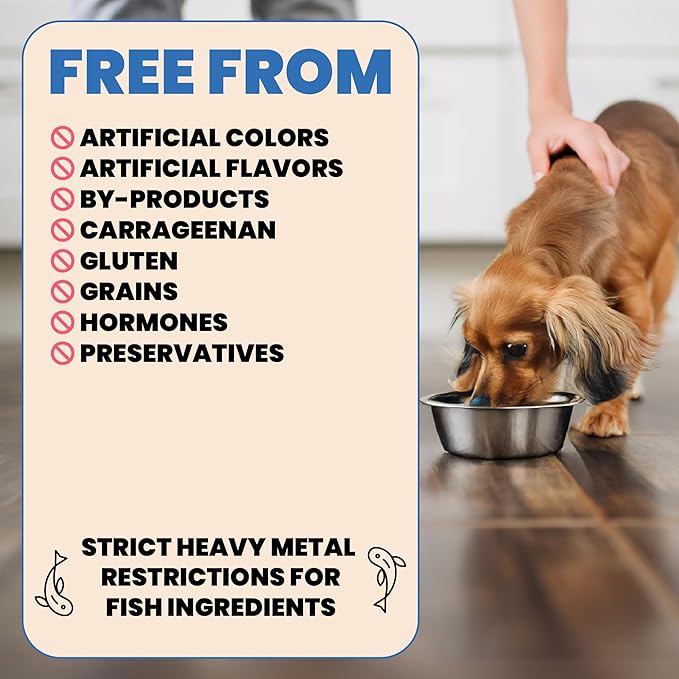 almo nature HQS Complete Wet Dog Food Tuna Stew with Pumpkin in Gravy 5.5 oz, Pack of 12
