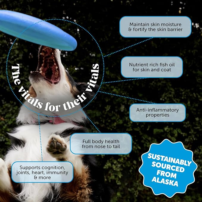 Wild Alaskan Salmon Oil, Omega-3 Fish Oil for Dogs and Cats, Fatty Acids, Salmon Oil for Dogs, Skin and Coat Health, Pure Dog Food Topper, Supports Joints, Brain & Heart Health - 16 oz