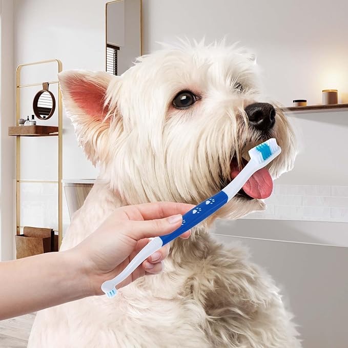 3 Pack Pet Toothbrush Double Headed Dog Toothbrush with Soft Bristles for Dogs Cats, Small and Large Breed Dogs Cats with Soft Bristles, Non Slip Puppy Toothbrush Kit (Red, Green, Blue)