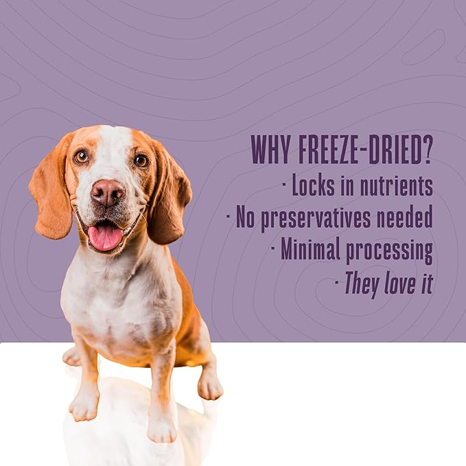 Whole Life Dog Just One Turkey Freeze Dried Dog Treats - Human Grade High Protein Food, Healthy Training Snacks, Freeze Dried Food Toppers, USA Made Natural Treats - 2.5 oz (Value Pack of 1)
