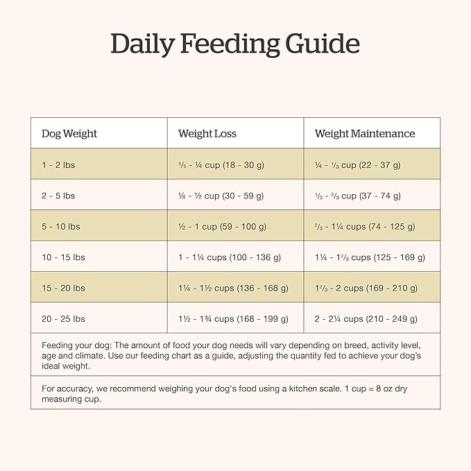 Now Fresh Good Gravy Premium Dry Dog Food with Chicken & Ancient Grains for Small Breeds, Healthy Kibble for Adults Coated in Bone Broth – Just Add Water to Moisten, Made with Real Meat, 3.5 lb Bag