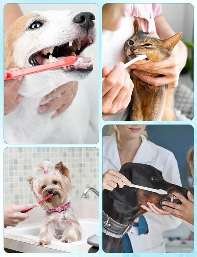 200 Pcs Dog Toothbrush Bulk Pet Double Sided Brushing Kit Long Handle Soft Bristles Dogs Tooth Brush for Small to Large Dog, Cat, Puppy & Kitten, 10 Colors