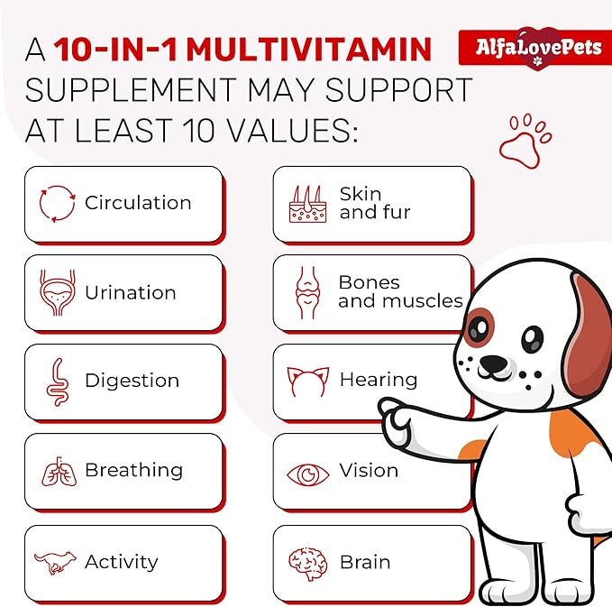 Liquid Multivitamin for Dogs β Cat Multivitamins for Indoor Cats β 10-in-1 Liquid Dog Vitamins B Complex, C, D3 β Digestion, Urination, Hip & Joint, Skin & Coat β Cranberry Flavor β 2 Oz