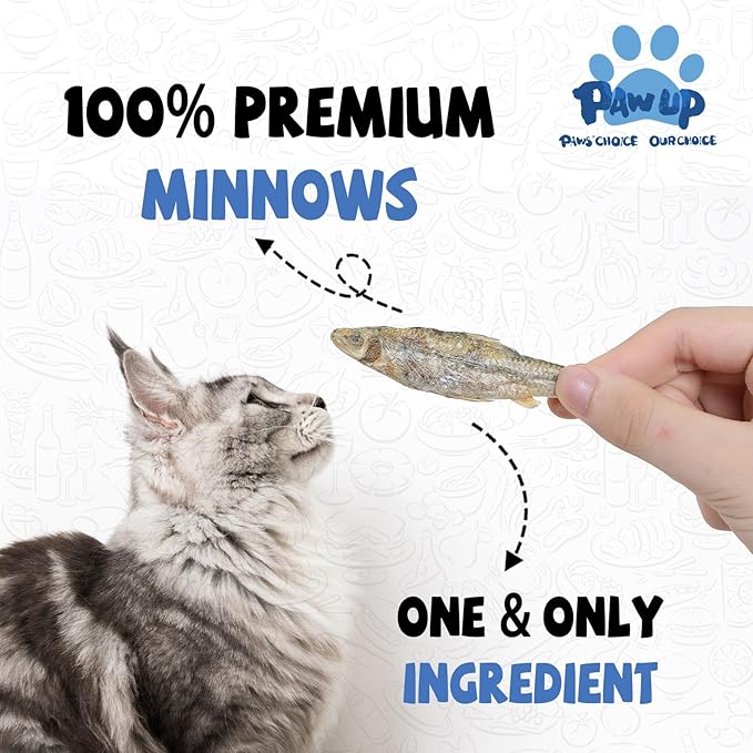 Freeze Dried Minnows Cat Treats – 100% Raw Single-Ingredient Pet Fish Snacks – Rich in Omega-3, Grain-Free – Healthy Training Rewards & Meal Toppers for Dogs & Cats, 2.8 oz