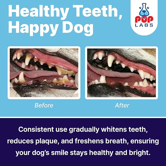 All-Natural and Expert-Formulated Dental Powder for Dogs, Dog Dental Supplement for Healthy Teeth and Against Leaky Gums for Dogs 12+ Weeks, Made in The USA with The Standards, 28 Serv