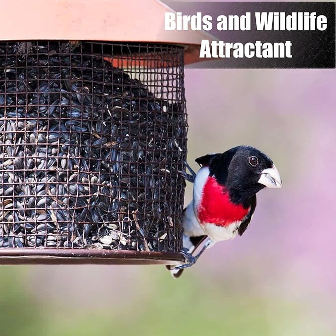Wildlife Black Oil Sunflower Seeds for Birds and Wildlife, Non-GMO & USA Grown on Small Farms (12 lbs)