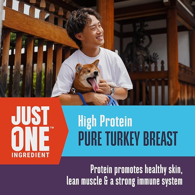 Whole Life Dog Just One Turkey Freeze Dried Dog Treats - Human Grade High Protein Food, Healthy Training Snacks, Freeze Dried Food Toppers, USA Made Natural Treats - 2.5 oz (Value Pack of 1)