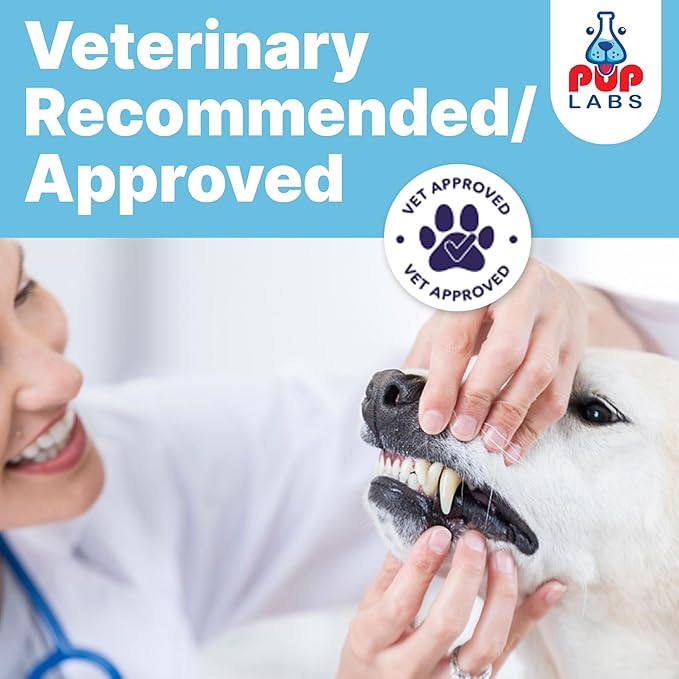 All-Natural and Expert-Formulated Dental Powder for Dogs, Dog Dental Supplement for Healthy Teeth and Against Leaky Gums for Dogs 12+ Weeks, Made in The USA with The Standards, 28 Serv