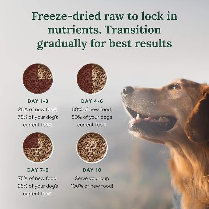 360 Pet Nutrition Raw Freeze-Dried Dog Food, High Protein, Balanced Meal, Chicken, Liver, Heart, Fruit, Veggies, Superfoods, No Fillers (3 Pound (Pack of 1), Beef)