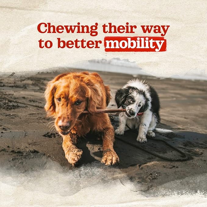 Natural Farm Odor-Free Collagen Chews, (12-Inch, 12-Pack), Long Lasting Bully Sticks & Rawhide Alternative Dog Treats, 95% Collagen, High Protein Best Dental Dog Treats ā Medium & Large Dogs