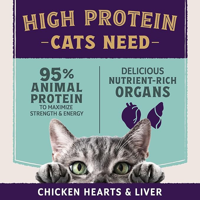 Natural Balance Ultra Protein Plus Wet Cat Food, Immune & Digestive Health Real Chicken with Pumpkin Puree Topper with Chicken Liver & Chicken Heart, High Protein Cat Food - 2.4 oz. (Pack of 24)