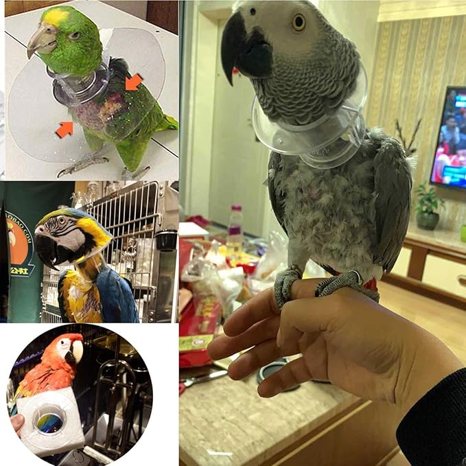 QBLEEV Pet Parrot Anti-bite Collar, Anti-Grab Feather Lick Wound Healing Neck Collar, Stress-Free Recovery from Injuries Post-Surgery, Protective Recovery Collars Fit Lovebird Macaws Budgies Cockatiel