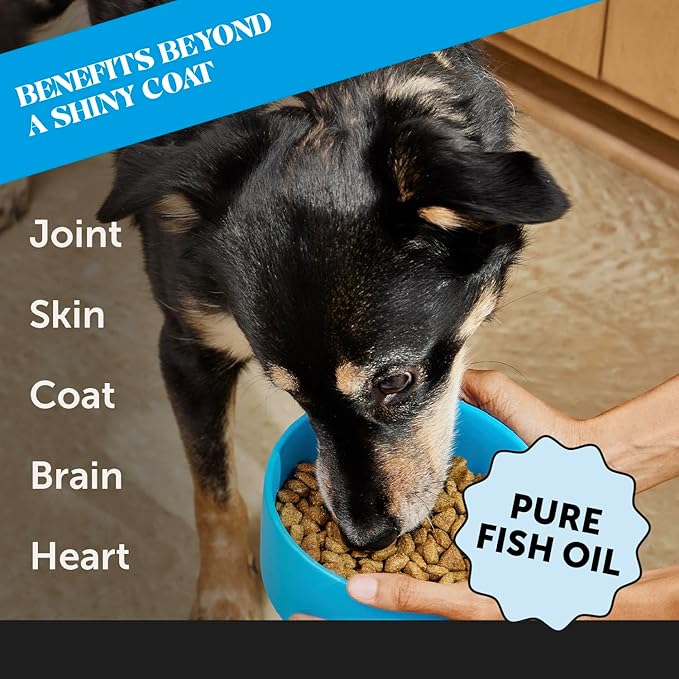Wild Alaskan Salmon Oil, Omega-3 Fish Oil for Dogs and Cats, Fatty Acids, Salmon Oil for Dogs, Skin and Coat Health, Pure Dog Food Topper, Supports Joints, Brain & Heart Health - 32oz