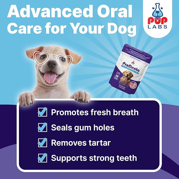 All-Natural and Expert-Formulated Dental Powder for Dogs, Dog Dental Supplement for Healthy Teeth and Against Leaky Gums for Dogs 12+ Weeks, Made in The USA with The Standards, 28 Serv