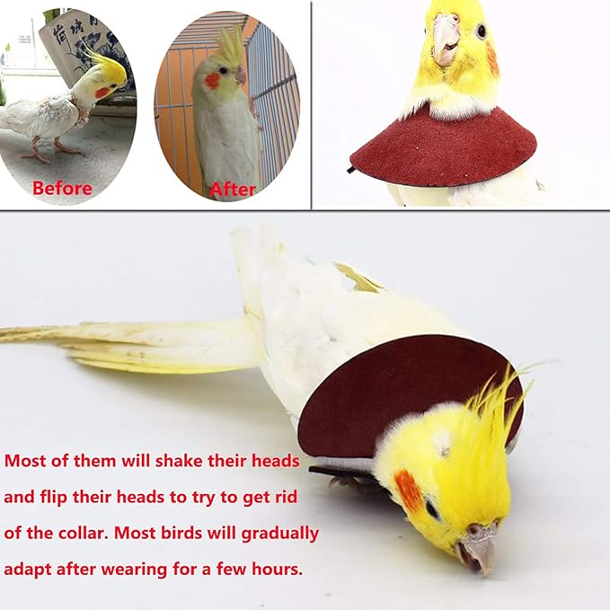 QBLEEV 4Pack Pet Parrot Anti-bite E-Collars, Anti-Grab Feather Plucking Wound Healing Safety Elizabethan Collar, Protective Recovery Cones for Budgerigar Lovebird Agapornis Fischer Cockatiel Cockatoo