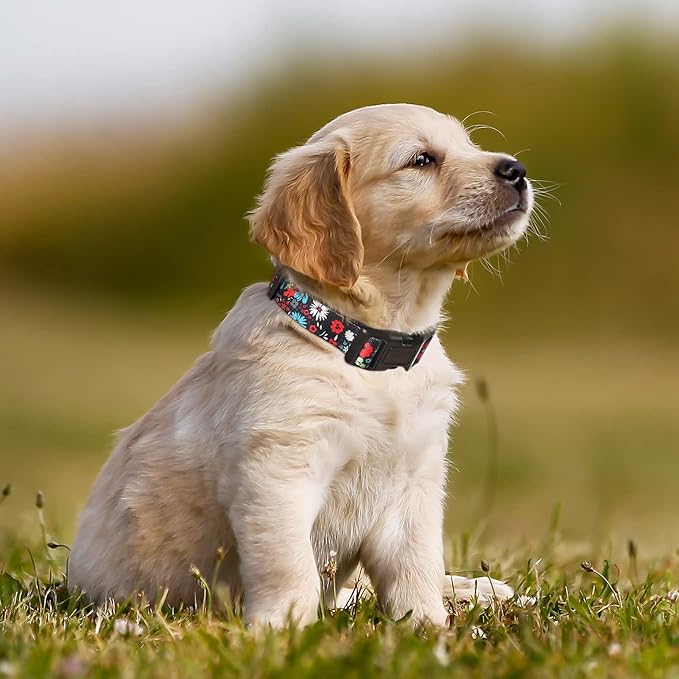 HEELE Dog Collar, Adjustable Soft Dog Collar for Small Medium Large Dogs,Bohemia Patterned Puppy Collars with Quick Release Buckle XS Length 8.5''-11''