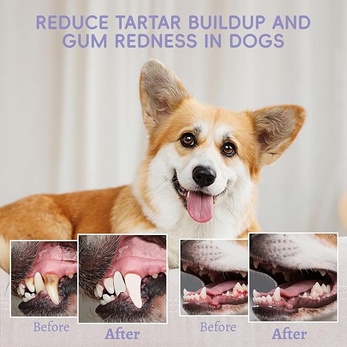 300g Dog Dental Powder | Dog Teeth Cleaning Powder & Cat Breath Freshener – Natural Plaque & Tartar Remover | Fresh Breath Dental Formula | for Small, Medium and Large Pet Dental Cleaner