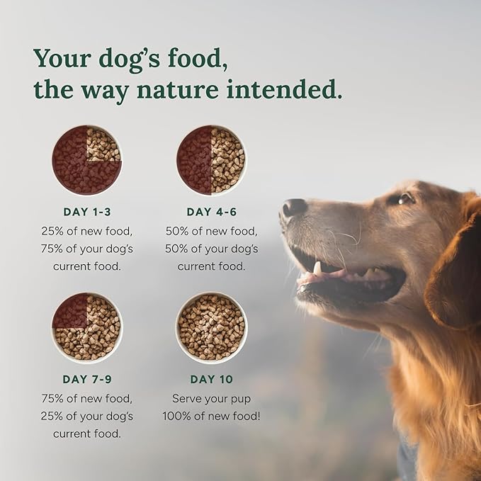 360 Pet Nutrition Freeze-Dried Raw Dog Food, High Protein, Balanced Meal, Chicken, Liver, Heart, Fruit, Veggies, Superfoods, No Fillers, 48 oz Food/Bites/Kibble (Chicken) Made in USA