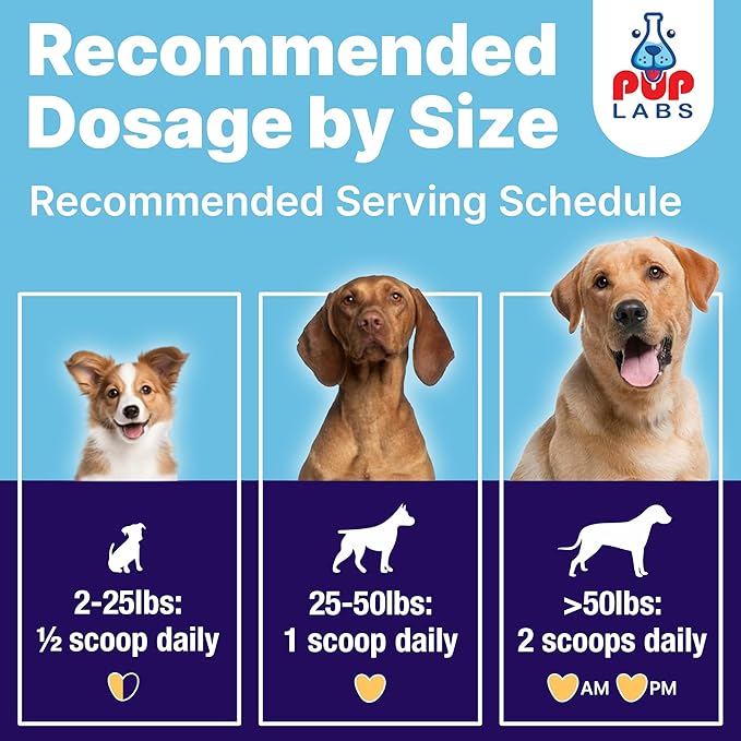 All-Natural and Expert-Formulated Dental Powder for Dogs, Dog Dental Supplement for Healthy Teeth and Against Leaky Gums for Dogs 12+ Weeks, Made in The USA with The Standards, 28 Serv