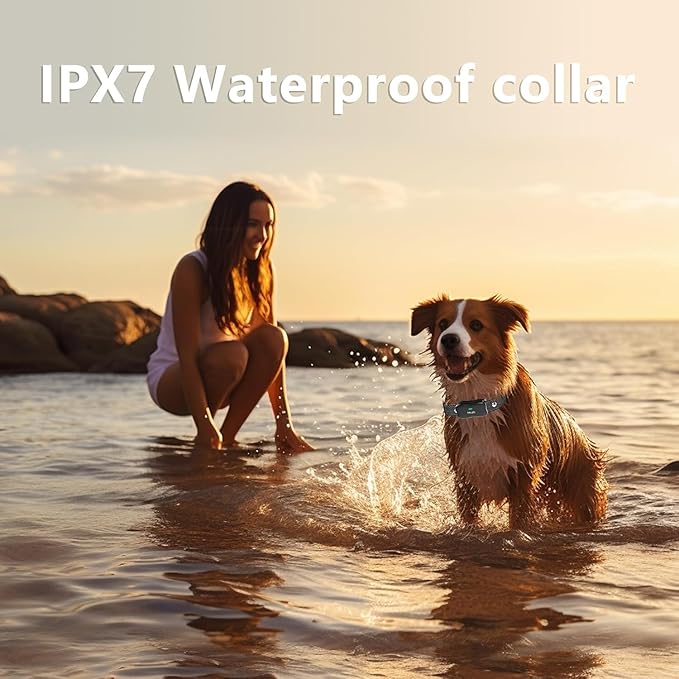 Wireless Dog Fence, 3500FT Fence Range, 6100FT Remote Training, 185 Days Rechargeable, IPX7 Waterproof Collar, 3 Training Modes (Black 2 Dogs)