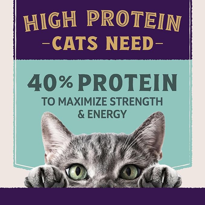 Natural Balance Ultra Protein Plus Dry Cat Food, Immune & Digestive Health Real Chicken & Chicken Meal Recipe with Nutrient-Rich Organs, High Protein Cat Food for Picky Cats - 5 lbs.