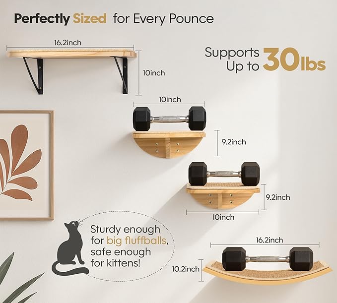 Wood Cat Wall Bed with Sisal Mat – Curved Cats Shelf for Scratching and Sleeping, Wall Mounted Cat Furniture for Large Cats