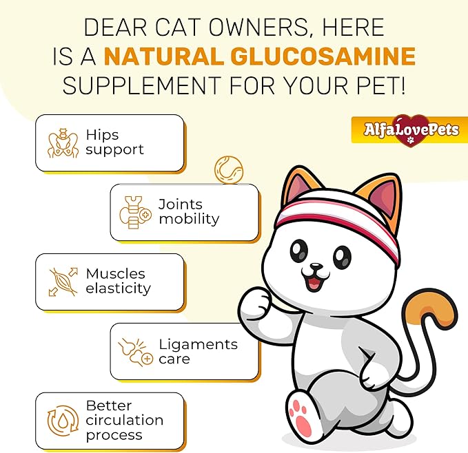 Cat Joint Supplement for All Breeds ā Glucosamine for Cats and Kittens ā Glucosamine, Chondroitin, MSM for Hip & Joint Care ā Natural Ingredients with Chicken Flavor ā 2 Oz