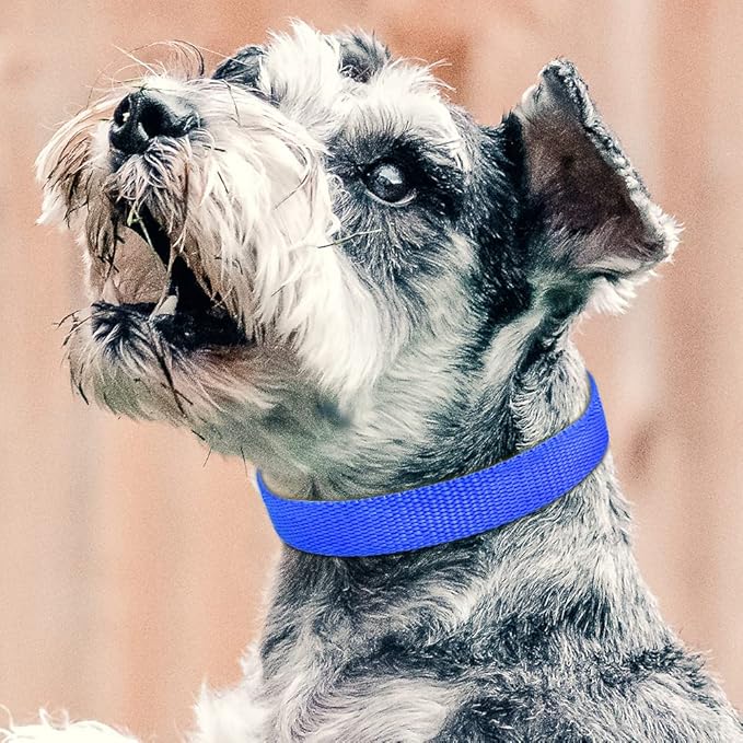 PetJoy Dog Collars Strap, Replacement Collar for Shock Reflective Collar, Adjustable Classic Dog Collar Strap for All Varieties Small Medium Large Dogs (Black & Blue)