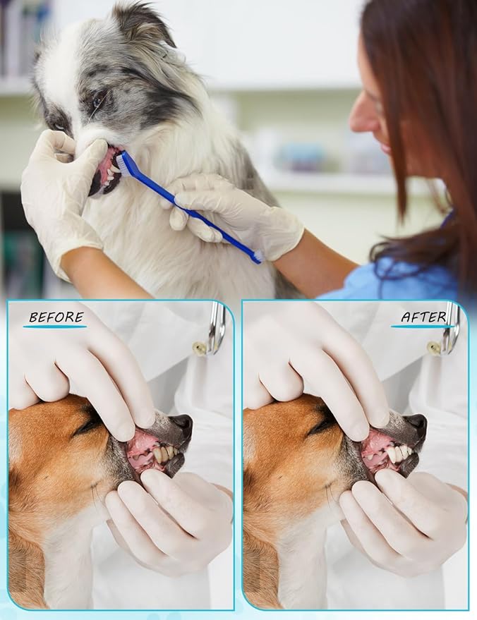 200 Pcs Dog Toothbrush Bulk Pet Double Sided Brushing Kit Long Handle Soft Bristles Dogs Tooth Brush for Small to Large Dog, Cat, Puppy & Kitten, 10 Colors