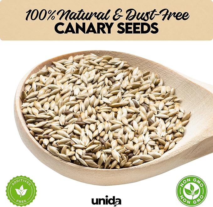 Unida Alpiste Canary Seeds for Birds - 5 lbs, 100% Natural, Non-GMO, No Additives, Bulk Wild Bird Feed